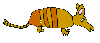 Armadillo